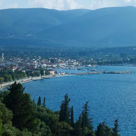 Muses Сами